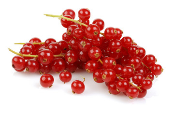 Currant