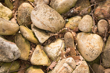 Fototapeta na wymiar Old and dirty Round peeble stones and leaf