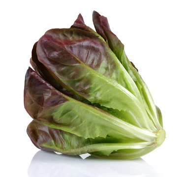 Lettuce