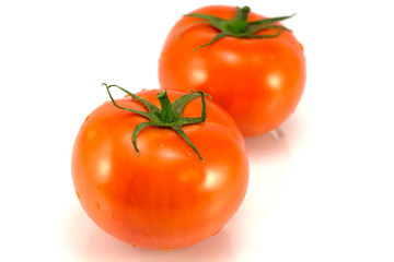 tomatoes