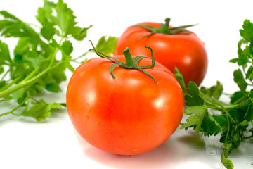 tomatoes on a white background with green