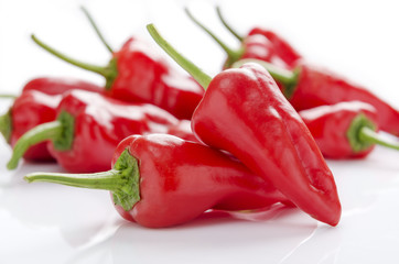 fresh red chilies on white background display