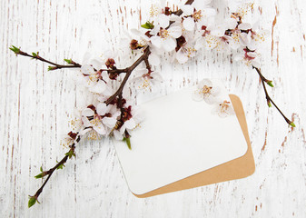 blossom with card