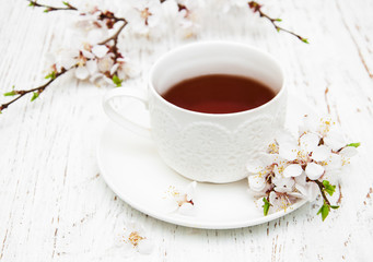 Cup of tea and spring blossom