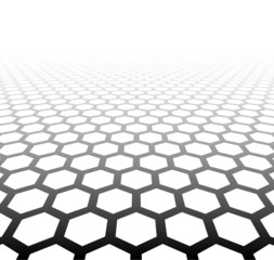 Perspective grid hexagonal surface.
