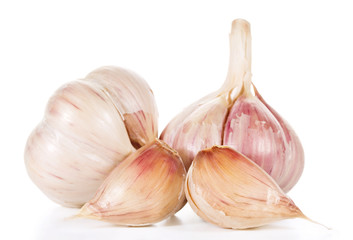 Garlic