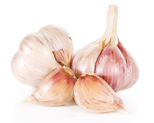 Garlic