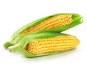 corn