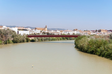 Fototapeta na wymiar View of Guadalquivir River in spanish Cordoba
