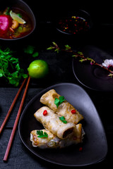fried spring rolls.