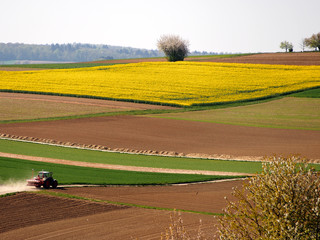 Agrarlandschaft