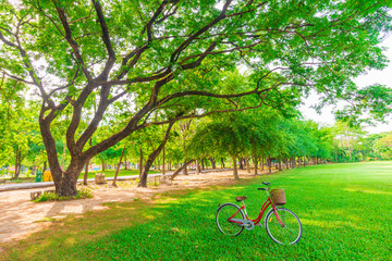 Fototapeta premium Red bicycle in park