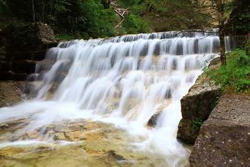 Obraz premium In der Schlucht