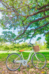 Fototapeta premium White bicycle in the park