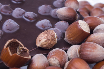 pile of hazelnuts with milk chocolate