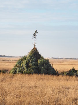 vorbereiteter Biikehaufen