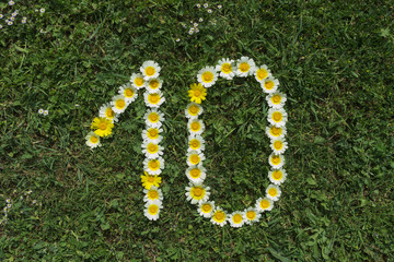Numeral 10 of blossoms in gras