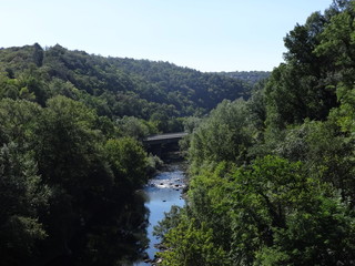 Obraz premium River Between Trees in Bulgaria