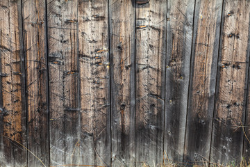 Wood - texture