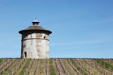 Dovecote in Quincié en Beaujolais, Beaujolais, France