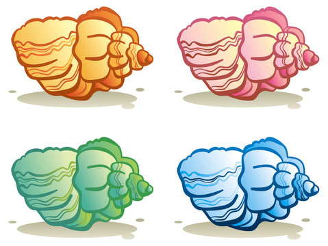 Different colored shells on a white background