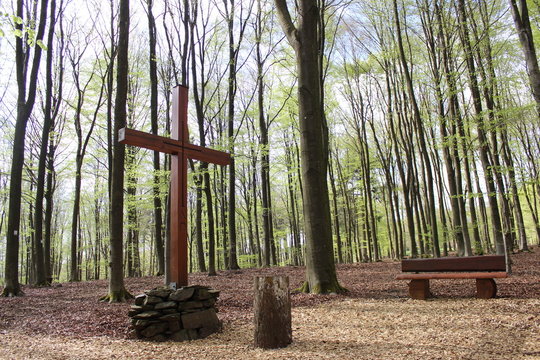 Friedhofswald Siegen