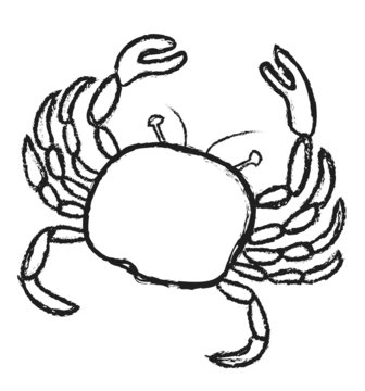 doodle grunge crab