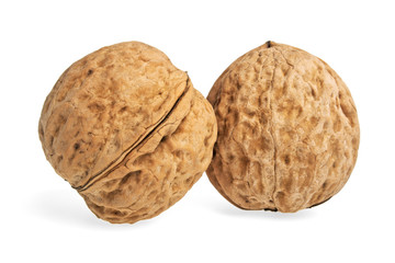 Two walnuts on a white background