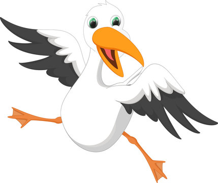 happy seagull cartoon