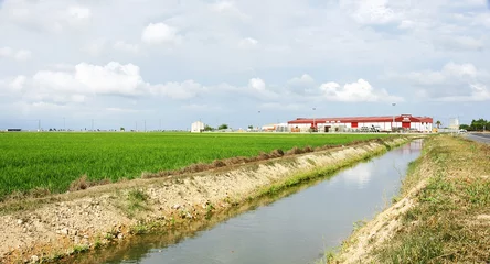 Papier Peint photo Canal Canal d& 39 irrigation dans le delta de l& 39 Èbre, Amposta, Tarragone