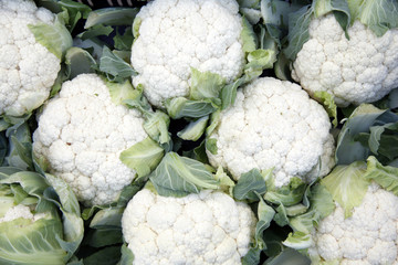 lot of cauliflowers packed together