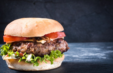 Tasty burger - obrazy, fototapety, plakaty