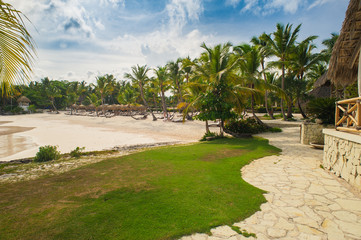 Fototapeta premium Palm trees on the Wild tropical caribbean sand beach in