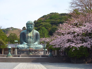 鎌倉　高徳院　