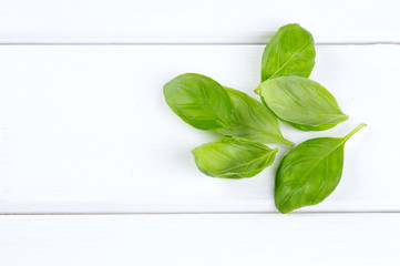 Fototapeta premium fresh basil leaves on wooden surface