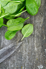 fresh spinach leaves