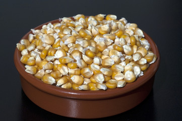 Mais; Zea mays; Maiskoerner;