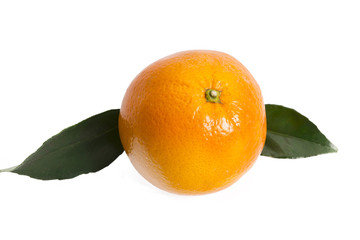 orange with leaves isolated