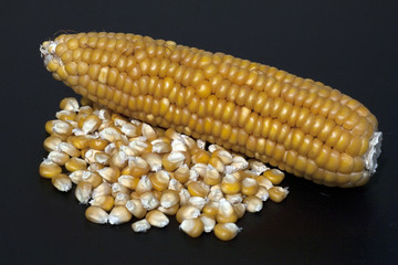 Mais; Zea mays; Maiskoerner;
