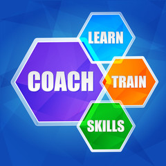 coach, learn, train, skills in hexagons, flat design