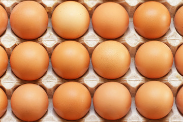 Raw eggs in tray