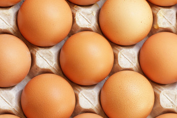 Fresh raw eggs in tray close-up