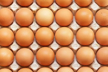 Fresh raw eggs used as background