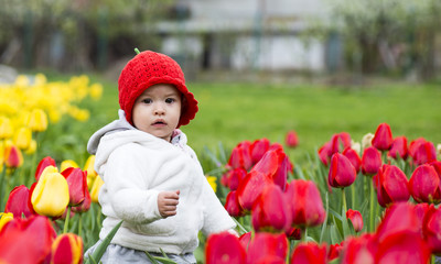 Beautiful little girl on a field of tulips