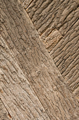 Fototapeta premium Tree bark texture