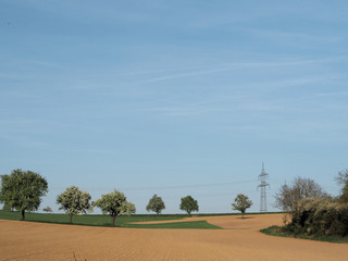 Fototapeta premium Landschaft mit Obstbäumen und Strommast