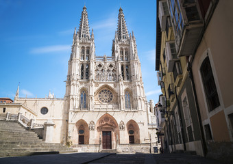 Fototapeta na wymiar Gothic cathedral