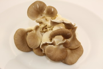 Isolated cluster of brown mushrooms on a white plate