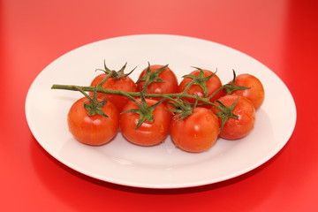 Isolated cluster of fresh ripe red cherry tomatoes