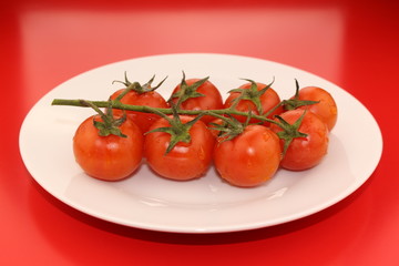 Isolated cluster of fresh ripe red cherry tomatoes